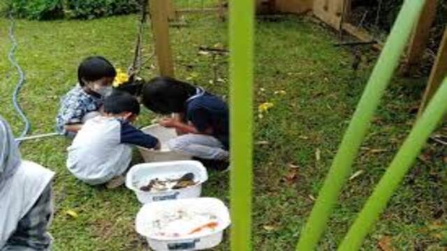 Metode Pendidikan Waldorf